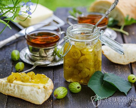 Заготовки из крыжовника на зиму